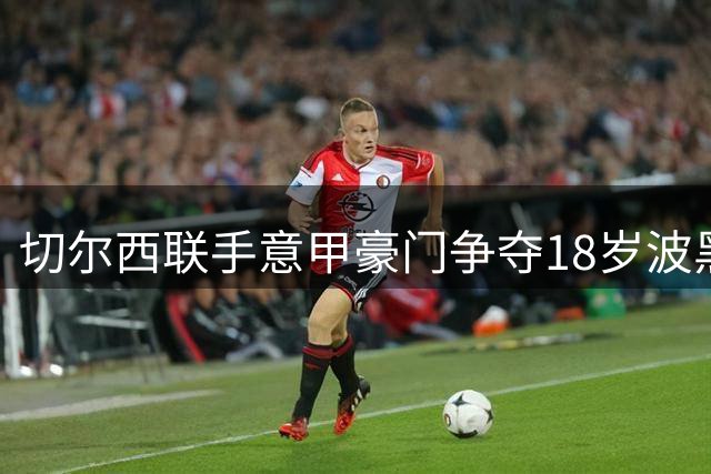 切尔西联手意甲豪门争夺18岁波黑新星阿拉伊贝戈维奇