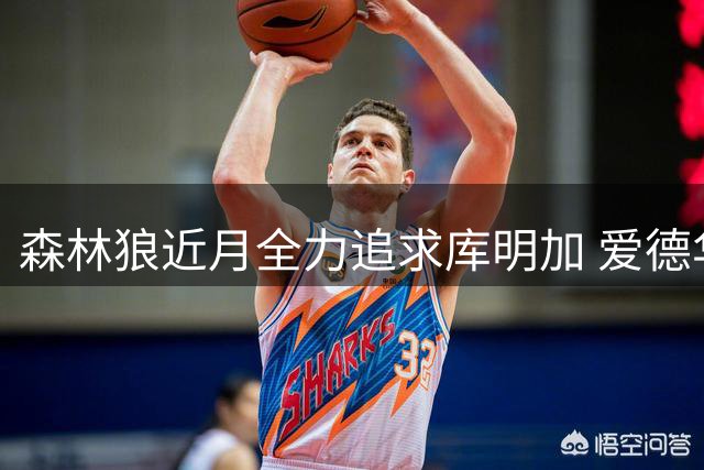 森林狼近月全力追求库明加 爱德华兹亲自参与招募