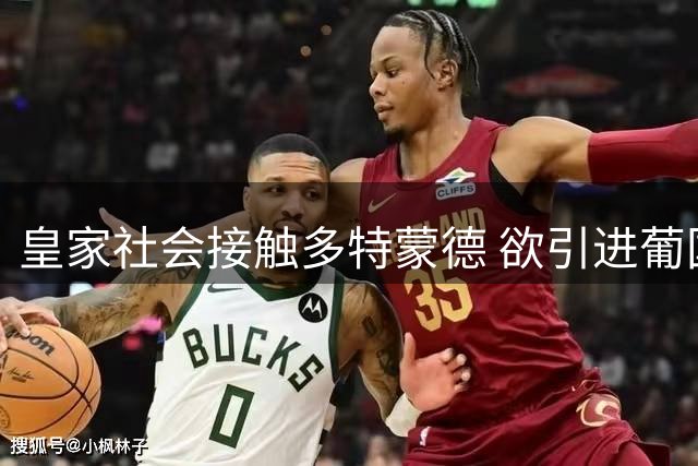 皇家社会接触多特蒙德 欲引进葡国脚法比奥-席尔瓦